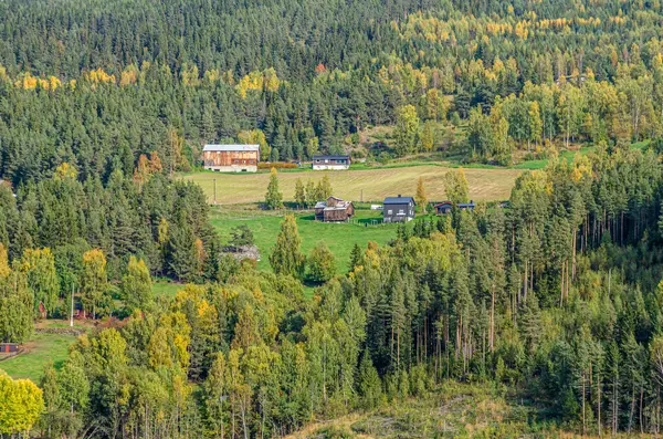 Άποψη Του Βουνού Φθινόπωρο Νορβηγία Εικόνα Αρχείου