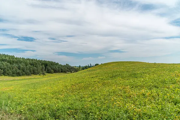 Ladang Pertanian Dan Langit Biru Dengan Awan Muskoka Kanada Stok Gambar