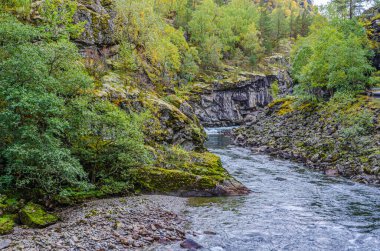 Dağ nehrinin manzarası. Norveç.