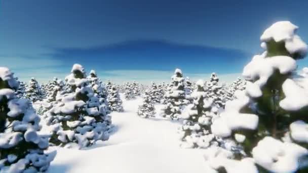 在白雪覆盖的针叶林上飞翔 无限循环动画 — 图库视频影像