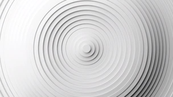 White Clean Rings Animation Abstract Background Loop Animation — Vídeo de stock