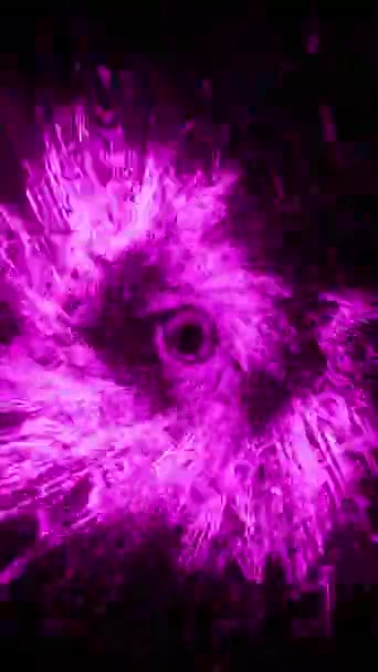 Túnel Púrpura Con Líneas Hipnóticas Animación Bucle Sin Costuras 002 — Vídeos de Stock