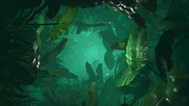 Egy Séta Dzsungelben Végtelenül Hurkolt Animáció — Stock videók