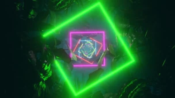 Egy Sötét Dzsungelben Neon Kereteken Keresztül Repülni Végtelenül Hurkolt Animáció — Stock videók