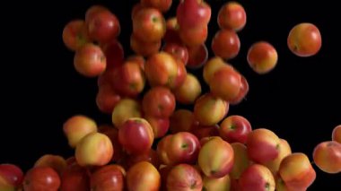 Şeffaf Arkaplanda Alfa ile Apple Geçişi. 3B görüntüleme