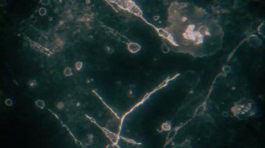 Soyut Grunge Arka Arkaplan Döngüsü