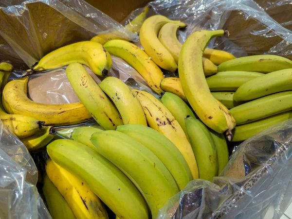 在超级市场准备出售的纸板箱中的加那利香蕉 — 图库照片