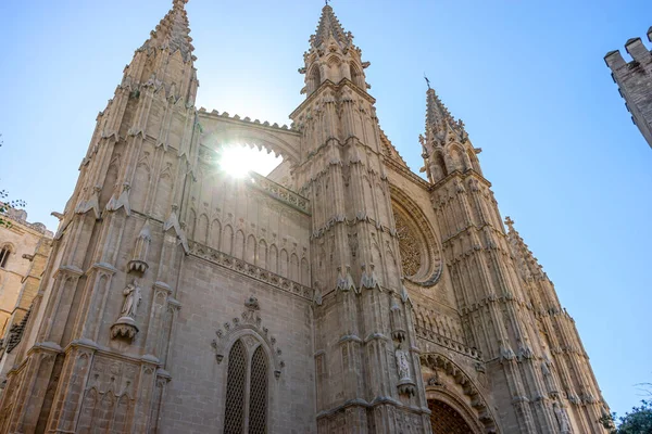 Majestic Mallorca Cathedral Gothic Splendor — Stock Photo, Image