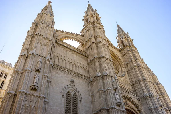 Gaze Intricate Facade Mallorca Cathedral Testament Spain Rich Architectural History — Stock Photo, Image