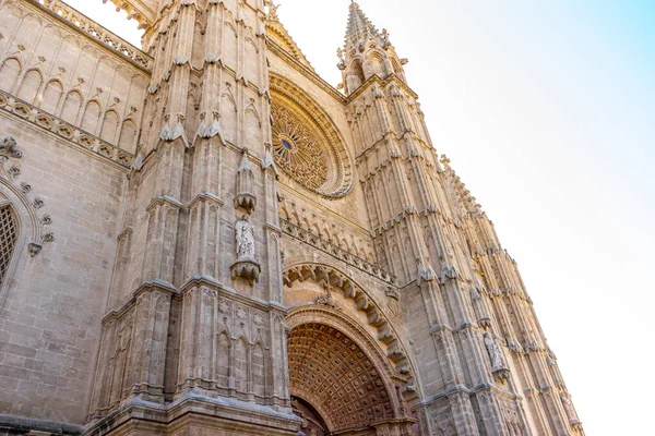 Balearic Beauty Cathedral Grandeur Mallorca — Stock Photo, Image