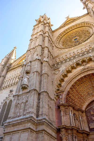 光秃秃的美丽 马略卡大教堂的宏伟壮丽 — 图库照片