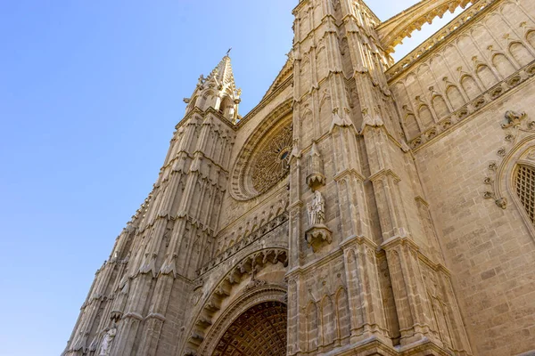 Revel Captivating Views Mallorca Cathedral Gothic Design Meets Balearic Beauty — Stock Photo, Image