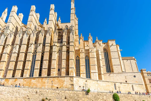 Majestic Mallorca Splendoarea Gotică Catedralei — Fotografie, imagine de stoc