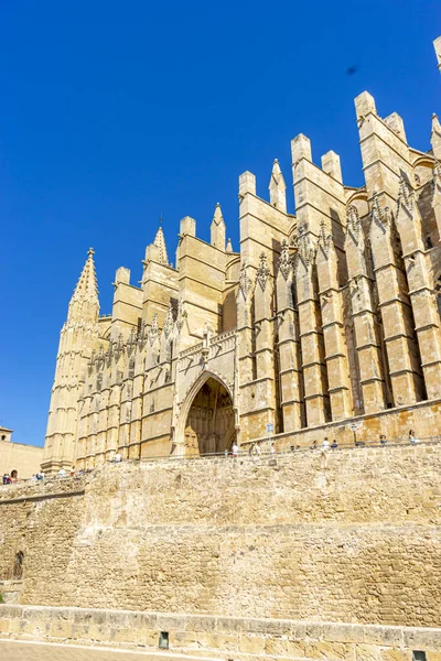Majestic Mallorca Cathedral Gothic Splendor — Stock Photo, Image