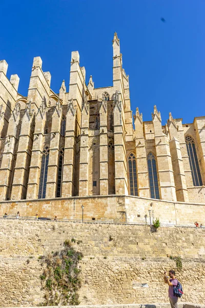 Konik Katedrali Etrafında Görsel Bir Yolculukla Mallorca Nın Kalbine Adım — Stok fotoğraf