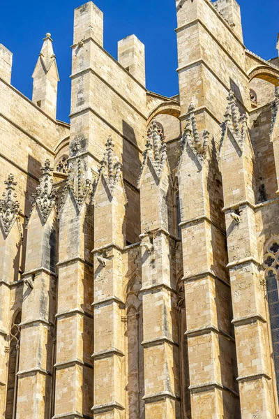 Let Detailed Carvings Archways Stonework Mallorca Cathedral Exterior Lead You — Stock Photo, Image