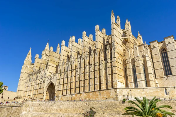 Mallorca Katedrali Nin Dış Yüzeyinin Detaylı Oymaları Kemerleri Taş Işçiliği — Stok fotoğraf