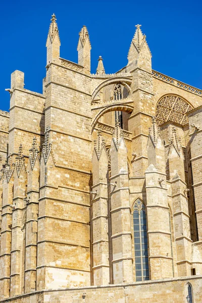 Experience Iconic Mallorca Cathedral All Its Exterior Grandeur Capturing Essence — Stock Photo, Image