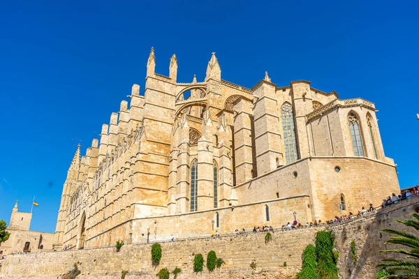 Mengalami Ikonik Katedral Mallorca Semua Keagungan Eksterior Menangkap Esensi Gaya — Stok Foto