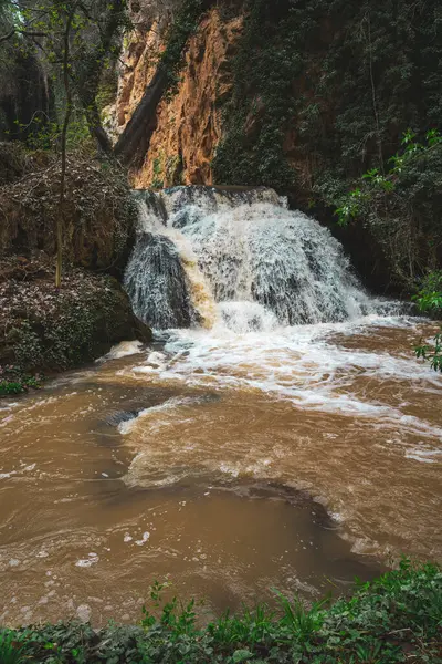 Многоуровневый Водопад Расположенный Зеленом Лесу Предлагает Захватывающие Пейзажи Любителей Природы Стоковое Фото