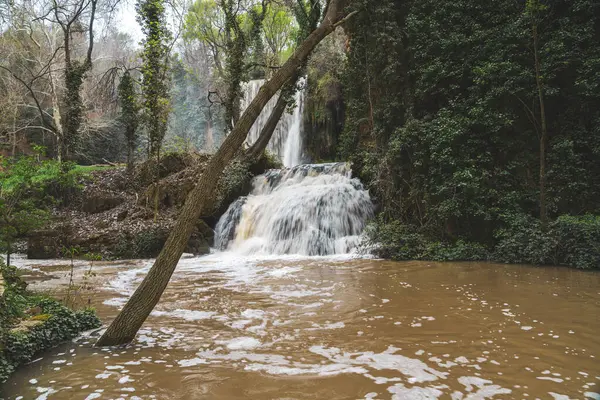 Багаторівневий Водоспад Розташований Видатних Лісах Пропонує Захоплюючу Сцену Любителів Природи Стокове Зображення
