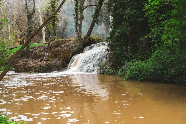 Multi Stupňový Vodopád Uhnízděný Zeleném Lese Který Nabízí Podmanivou Scenérii Royalty Free Stock Obrázky