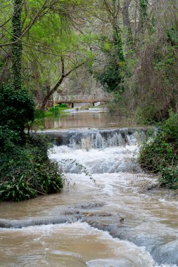 Tarihsel Manastır de Piedra Parkı 'nda çağlayan şelaleleri çevreleyen bereketli yeşillik sükunet ve doğal güzellik yayar..
