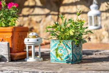 Yeşil yapraklarla dolu canlı, dekoratif bir bitki kırsal bir ahşap masada oturuyor. Etrafında renkli saksı bitkileri ve beyaz bir fener var. Dışarıda büyüleyici bir bahçe manzarası yaratıyorlar..