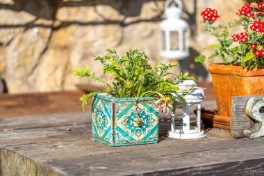 Yeşil yapraklarla dolu canlı, dekoratif bir bitki kırsal bir ahşap masada oturuyor. Etrafında renkli saksı bitkileri ve beyaz bir fener var. Dışarıda büyüleyici bir bahçe manzarası yaratıyorlar..