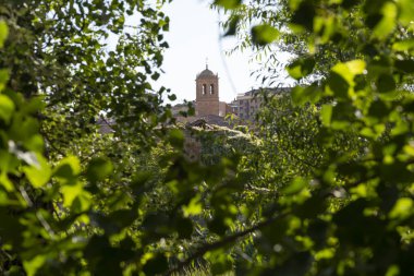 İspanya, Soria 'da yemyeşil yemyeşil akan Duero Nehri' nin huzurlu bir manzarası. Sakin sular etrafındaki ağaçları yansıtıyor, sakin ve resimsel bir manzara yaratıyor.