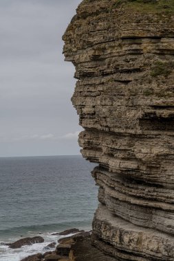 İspanya, Cantabria 'da denize bakan, katmanlı kaya oluşumları ve yemyeşil yeşillikleri olan görkemli sahil kayalıkları. Manzara, seyahat ve doğa temaları için mükemmel..