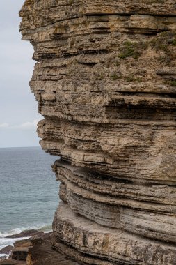 İspanya, Cantabria 'da denize bakan, katmanlı kaya oluşumları ve yemyeşil yeşillikleri olan görkemli sahil kayalıkları. Manzara, seyahat ve doğa temaları için mükemmel..