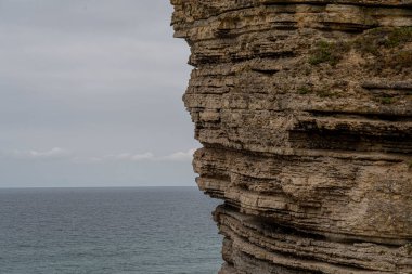 İspanya, Cantabria 'da denize bakan, katmanlı kaya oluşumları ve yemyeşil yeşillikleri olan görkemli sahil kayalıkları. Manzara, seyahat ve doğa temaları için mükemmel..