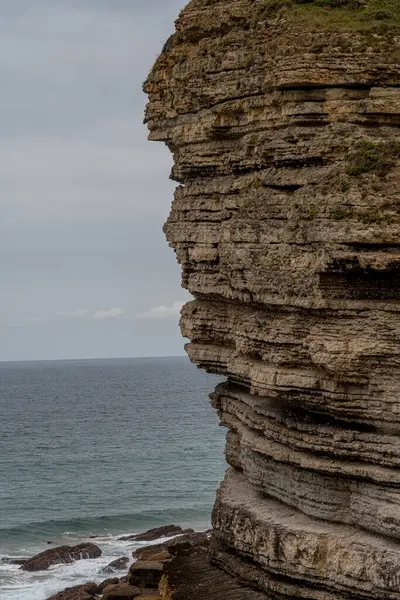 İspanya, Cantabria 'da denize bakan, katmanlı kaya oluşumları ve yemyeşil yeşillikleri olan görkemli sahil kayalıkları. Manzara, seyahat ve doğa temaları için mükemmel..