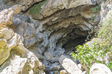İspanya 'nın Ronda kenti yakınlarındaki çarpıcı bir kireçtaşı mağarası olan Cueva del Gato' nun engebeli girişi yemyeşil ile çevrilidir. Doğa keşfi, macera ve seyahat temaları için ideal