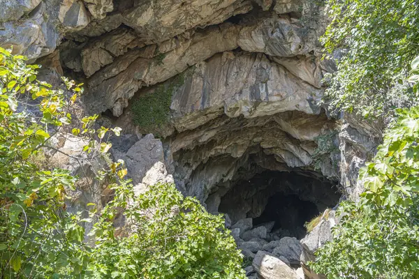 İspanya 'nın Ronda kenti yakınlarındaki çarpıcı bir kireçtaşı mağarası olan Cueva del Gato' nun engebeli girişi yemyeşil ile çevrilidir. Doğa keşfi, macera ve seyahat temaları için ideal