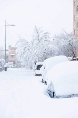 Madrid 'in Sokakları 2021' de Filomena Fırtınasından Karla Kaplandı
