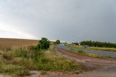 Yağmurdan sonra: Rioja 'nın İspanya' daki bereketli üzüm bağları ve tarlaları