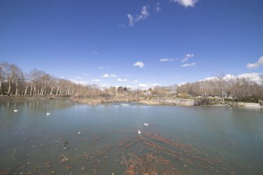Aranjuez 'deki nehrin yumuşak suları açık mavi gökyüzünü yansıtır. Beyaz kuşlar zarifçe süzülürken, yaprak parçaları yüzüyor. Arka plandaki ağaçlar sonbaharın belirtilerini gösteriyor.