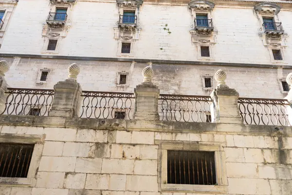 Ziyaretçiler, detaylı mimarisi ve tarihi cazibesiyle Jaen, Endülüs 'teki Santa Iglesia Katedrali ve Museo Katedralicio' nun büyüleyici taş cephesine hayran kaldılar..