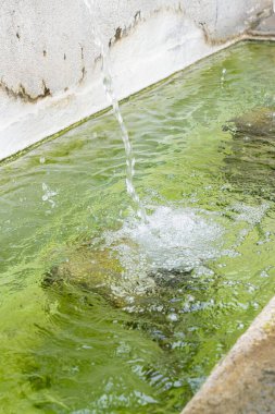 Brihuega 'daki çeşmeden sürekli su akar, Castilla-la-mancha, yeşil renkli havuzda dalgalanmalar yaratır. Sakin atmosfer ziyaretçileri cezbediyor ve kasabaya cazibe katıyor..