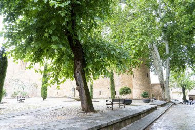 Ziyaretçiler, Brihuega 'da verimli ağaçlar, canlı yeşil yapraklar ve güzel bir günde parlak güneş ışığı altında antik taş duvarlarla çevrili sakin bir parkın atmosferinin keyfini çıkarıyorlar..