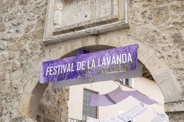 Brihuega 'daki lavanta festivali, lavantanın güzelliğini kutlamak için canlı dekorasyon ve afişler sergiliyor. Ziyaretçiler büyüleyici tarihi bir kasabadaki manzaranın ve yerel kültürün tadını çıkarıyorlar..