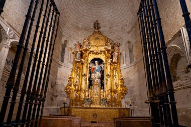 Colegiata de Santa Maria la Mayor de Toro, altın madalyalar ve dini figürlerle süslenmiş, tarihi mimarisi ile büyüleyici ziyaretçiler barındırıyor..