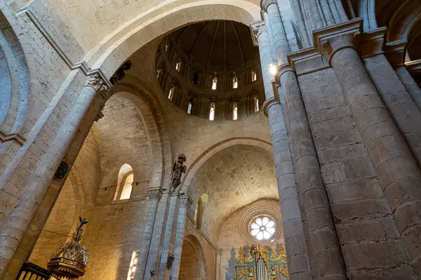 Zamora 'daki Santa Maria la Toro Belediye Başkanı Colegiata' nın çarpıcı Gotik mimarisini keşfedin. Karmaşık sütunlar ve parlak bir gül penceresi huzurlu bir atmosfer yaratır.