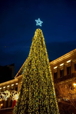 Parlak sarı ışıklarla süslenmiş uzun bir Noel ağacı Pamplona, Navarra 'da alacakaranlık gökyüzüne karşı parlayarak tatil sezonunda sıcak bir festival atmosferi yaratıyor..
