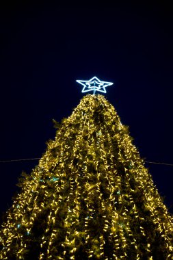 Parlak altın ışıklarıyla göz kamaştırıcı bir Noel ağacı yükseliyor. Navarra, Pamplona 'nın göbeğinde bir yıldız yükseliyor. Geceleri bayram ruhunu kutluyor..