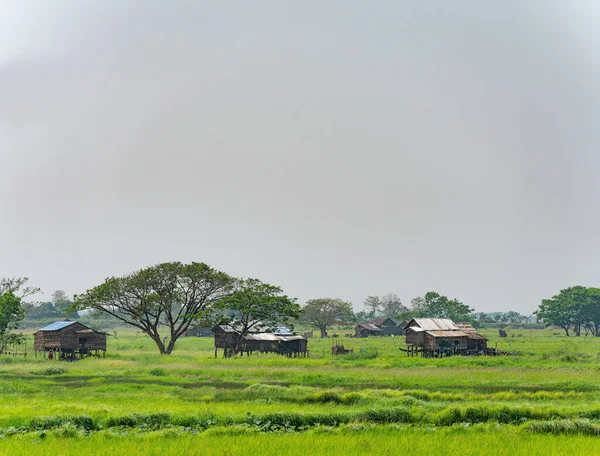 Landschap Met Huizen Gebouwd Van Hout Stro Aan Irrawaddy Delta — Stockfoto