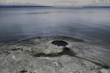 Yellowstone Gölü 'ndeki Büyük Koni Gayzerleri Ulusal Parkı.