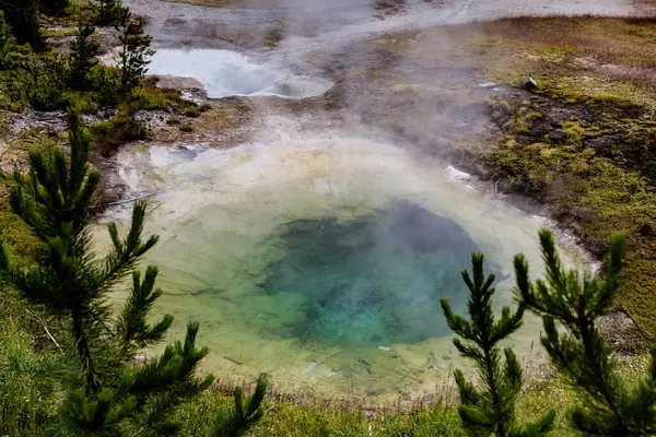 Yellowstone Ulusal Parkı 'ndaki West Thumb Havzası' nda Bluebell Sıcak Bahar Havuzu.
